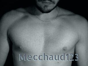 Mecchaud123