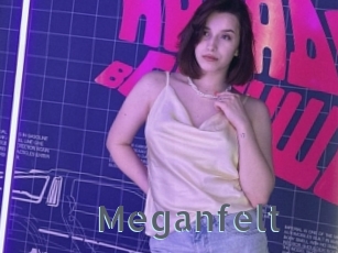 Meganfelt
