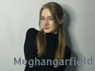 Meghangarfield