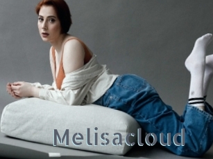 Melisacloud