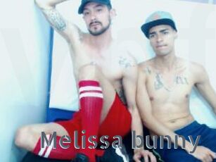 Melissa_bunny