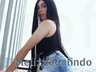 Melizzagalindo