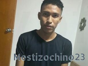 Mestizochino23