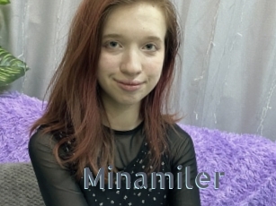 Minamiler