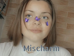 Mischarm