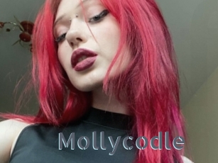 Mollycodle