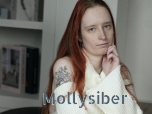 Mollysiber