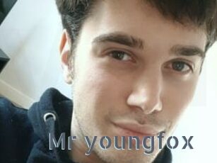 Mr_youngfox