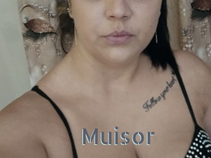 Muisor