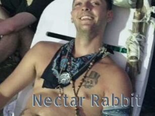 Nectar_Rabbit