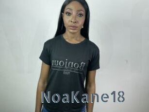 NoaKane18