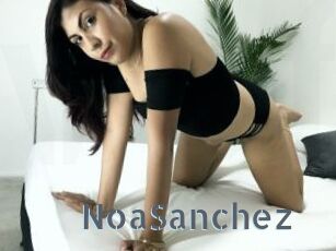 NoaSanchez