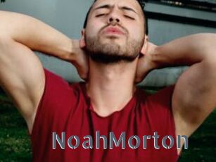 NoahMorton