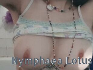 Nymphaea_Lotus