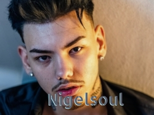 Nigelsoul