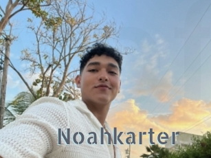 Noahkarter