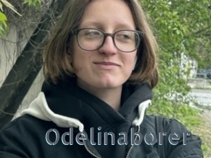 Odelinaborer