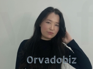 Orvadobiz