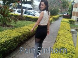 PamEinhorn