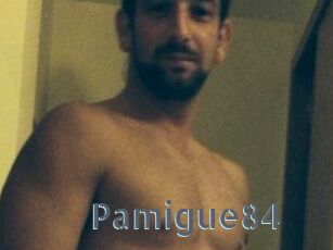 Pamigue84