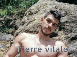 Pierre_vitale