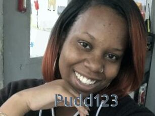 Pudd123