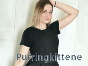 Purringkittene