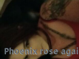 Phoenix_rose_again