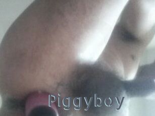 Piggyboy