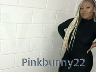 Pinkbunny22