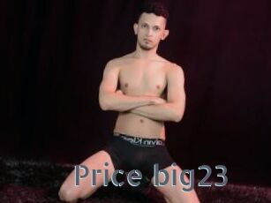 Price_big23