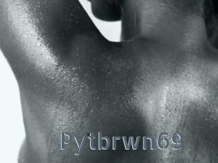 Pytbrwn69