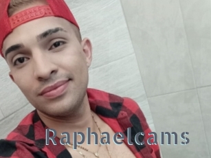 Raphaelcams