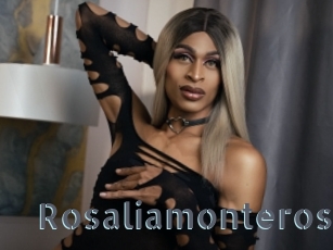 Rosaliamonteros