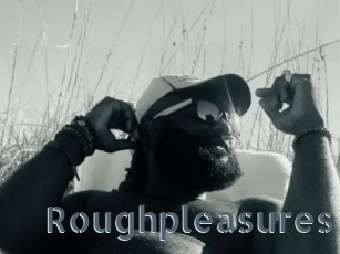 Roughpleasures