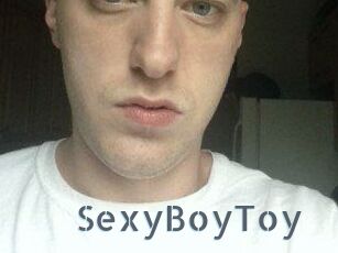 SexyBoyToy