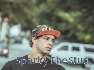 SparkyTheStud