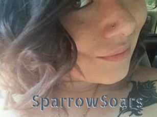 SparrowSoars