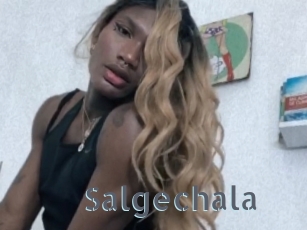 Salgechala