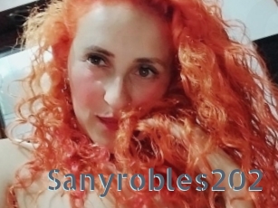 Sanyrobles202