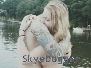 Skyebugger