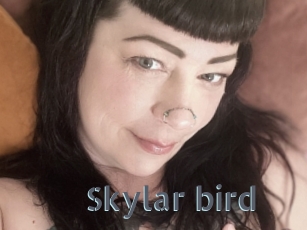 Skylar_bird