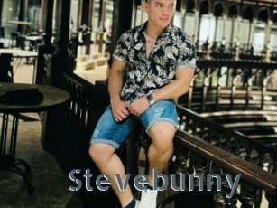 Stevebunny