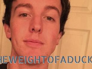 THEWEIGHTOFADUCK