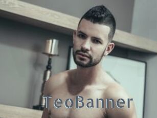 TeoBanner