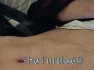 TheTurtle69