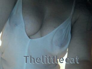 Thelittlecat