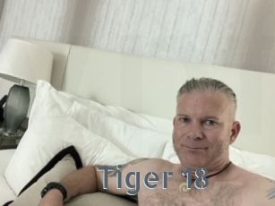 Tiger_18