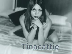 Tinacattie