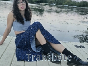 Transbate